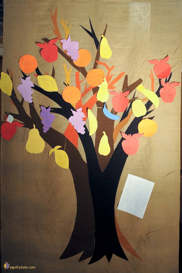 Nom de l'image : D30095048_1_(c)Norbert-JUNG — Description :